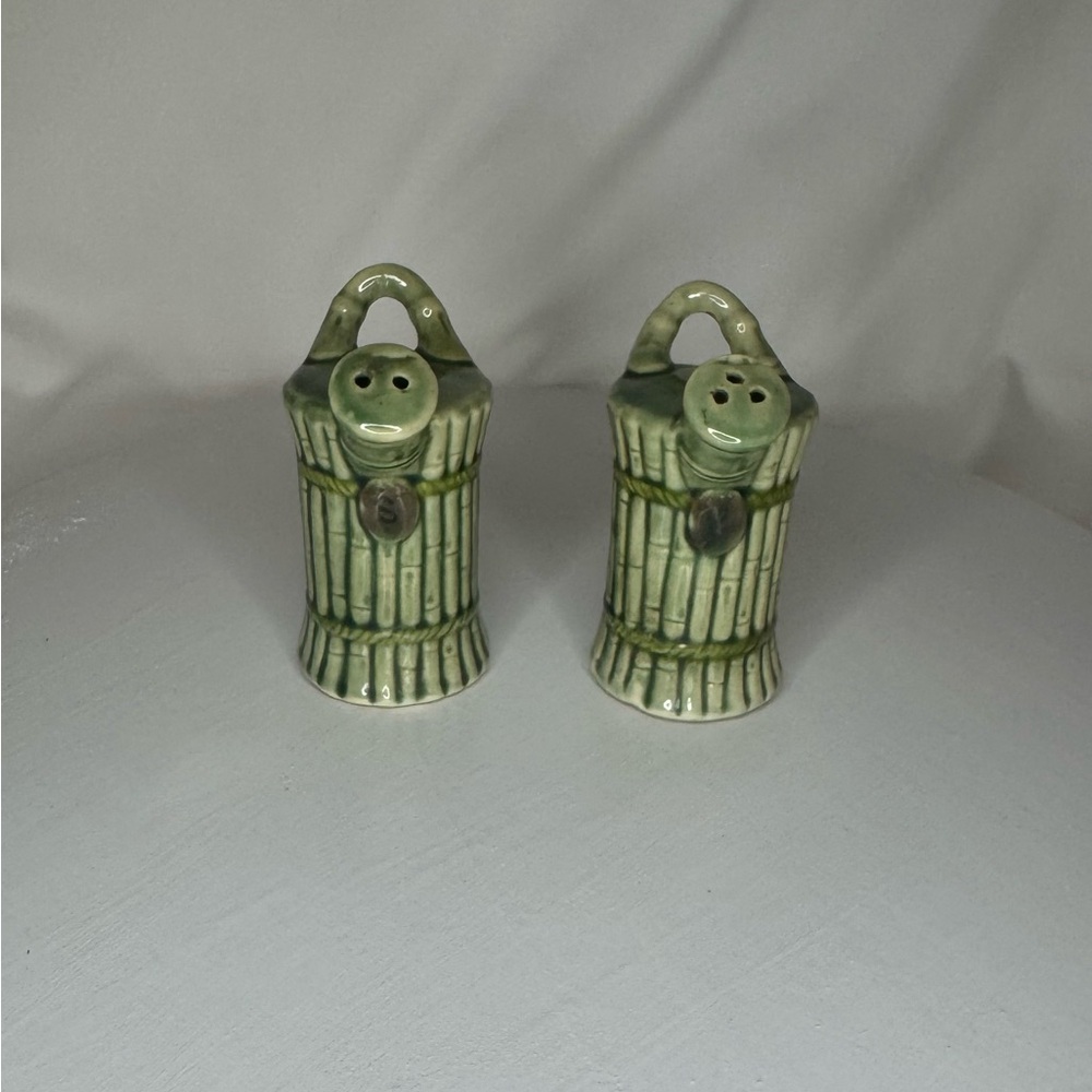 Vintage Green Ceramic Watering Can Salt and Pepper Shakers